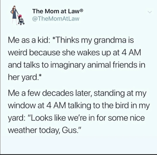 The Mom at LawⓇ @TheMomAtLaw Me as a kid: *Thinks my grandma is weird because she wakes up at 4 AM and talks to imaginary animal friends in her yard.* Me a few decades later, standing at my window at 4 AM talking to the bird in my yard: "Looks like we're in for some nice weather today, Gus."