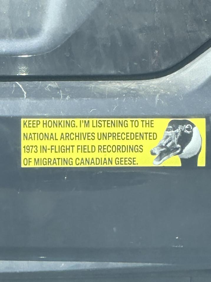 KEEP HONKING. I'M LISTENING TO THE NATIONAL ARCHIVES UNPRECEDENTED 1973 IN-FLIGHT FIELD RECORDINGS OF MIGRATING CANADIAN GEESE.