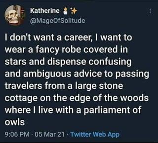 Katherine+ @MageOfSolitude I don't want a career, I want to wear a fancy robe covered in stars and dispense confusing and ambiguous advice to passing travelers from a large stone cottage on the edge of the woods where I live with a parliament of owls 9:06 PM - 05 Mar 21 - Twitter Web App