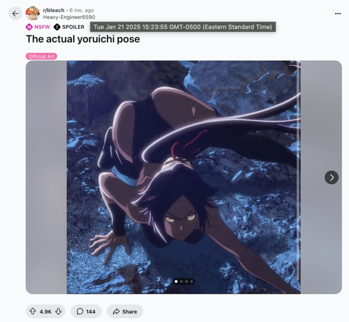 January 21st, 2025 post on /r/Bleach On January 21st, 2025, Redditor posted an image of Yoruichi from _Bleach_ alongside a caption that read, "The actual yoruichi pose."