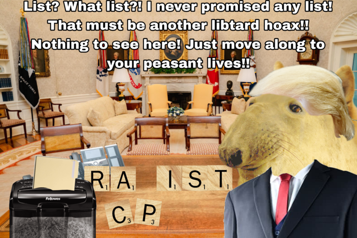 List? What list?! I never promised any list! That must be another libtard hoax!! Nothing to see here! Just move along to your peasant lives!! SPACE FORCE ATUS Fellowes ARMY I, S, T,₁ 1 89 R. A. C. P 3