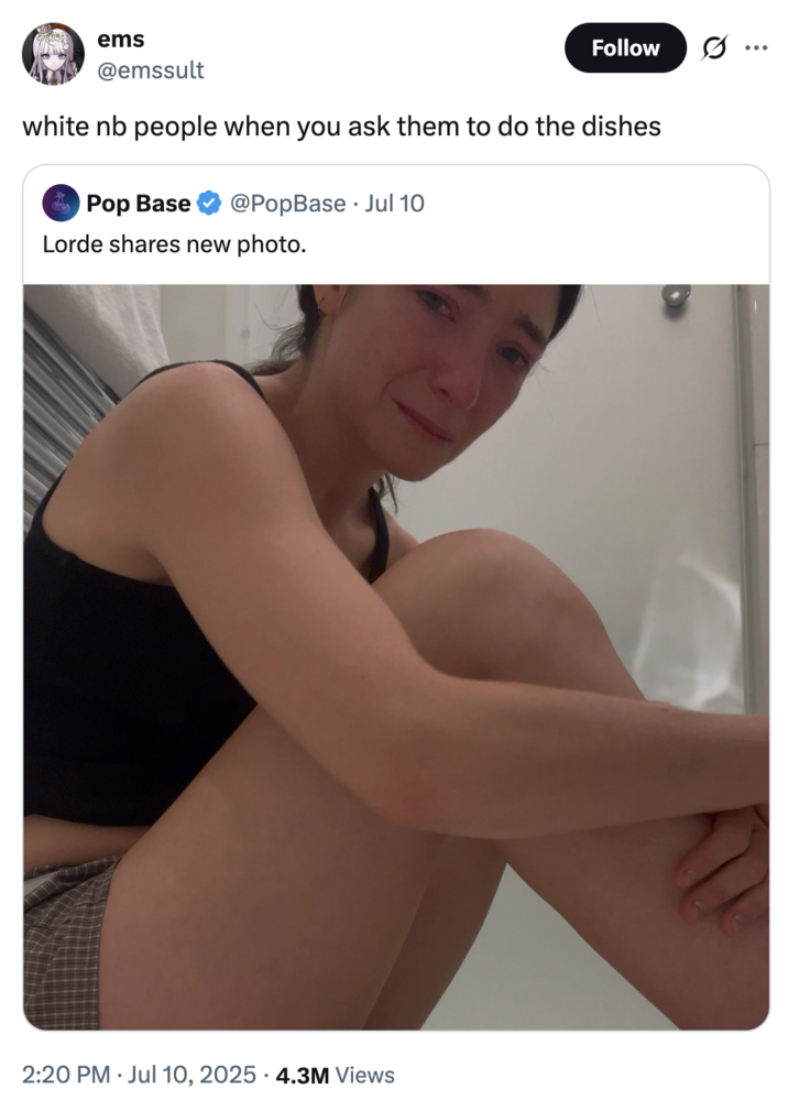 July 10th, 2025 tweet by @emssult X user @emssult quoted a post showing pop singer Lorde sitting on her floor and crying with a caption that read, "white nb people when you ask them to do the dishes." The post gathered over 4 million views and 70,000 likes in five days.