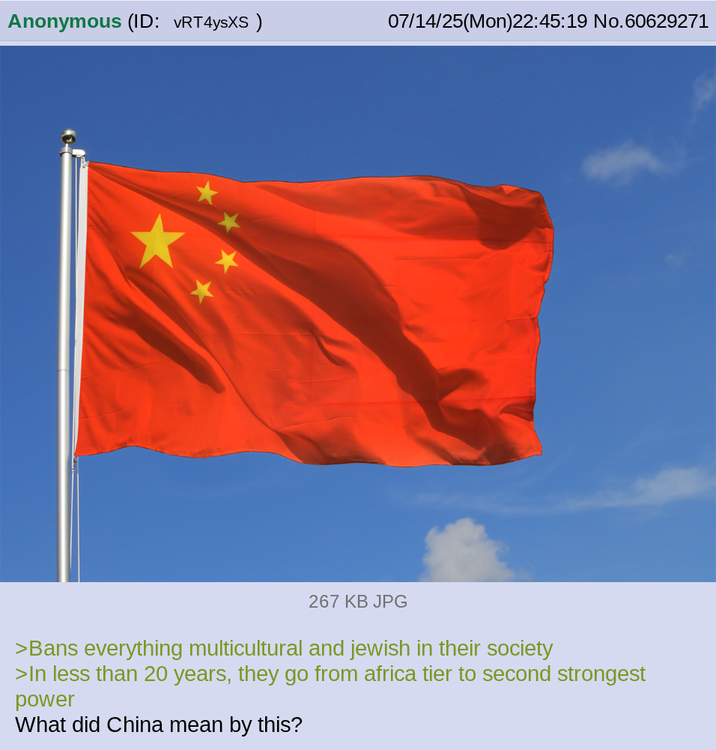 Anonymous (ID: vRT4ysXS) 07/14/25(Mon)22:45:19 No. 60629271 267 KB JPG >Bans everything multicultural and jewish in their society >In less than 20 years, they go from africa tier to second strongest power What did China mean by this?