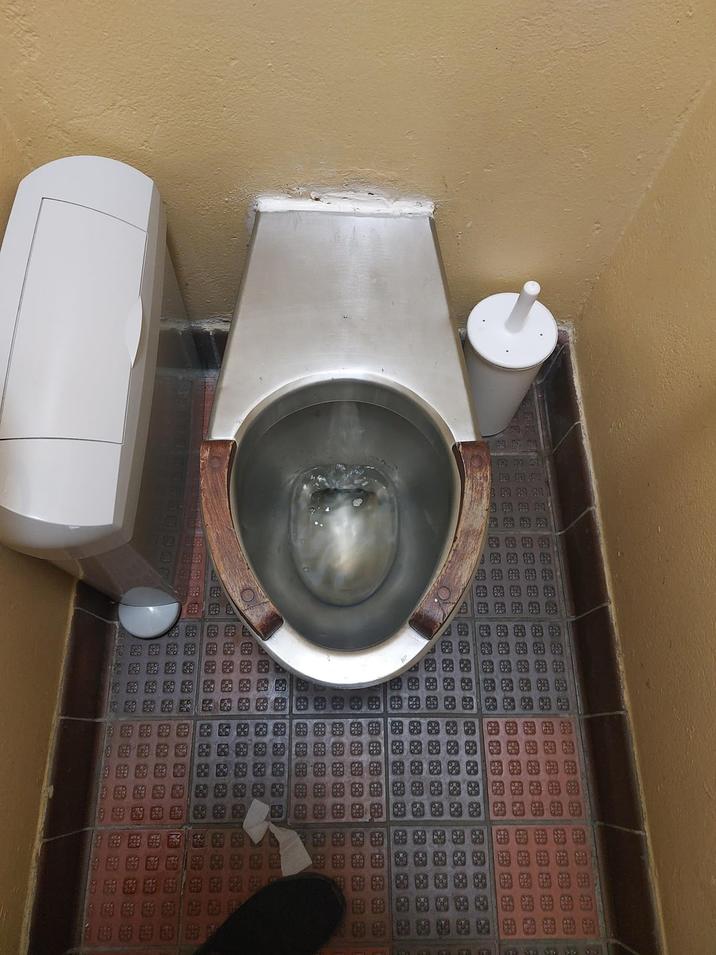 的羽