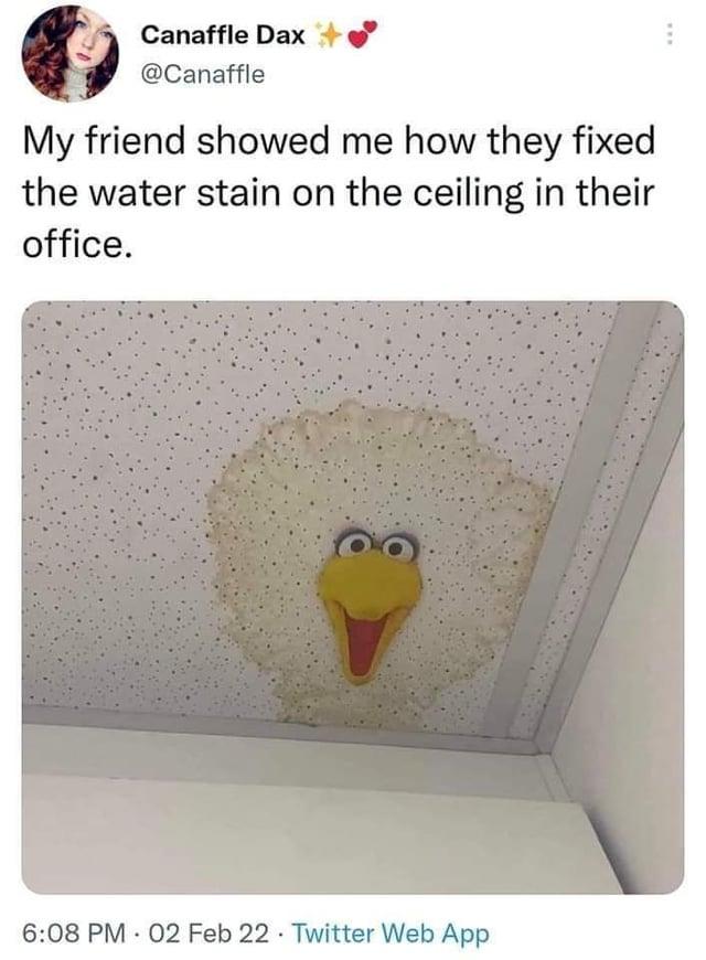 Canaffle Dax @Canaffle My friend showed me how they fixed the water stain on the ceiling in their office. 6:08 PM - 02 Feb 22 Twitter Web App