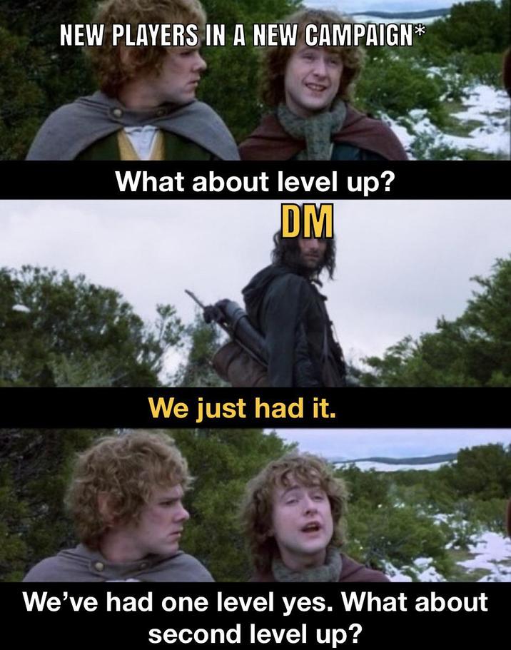 NEW PLAYERS IN A NEW CAMPAIGN* What about level up? DM We just had it. We've had one level yes. What about second level up?