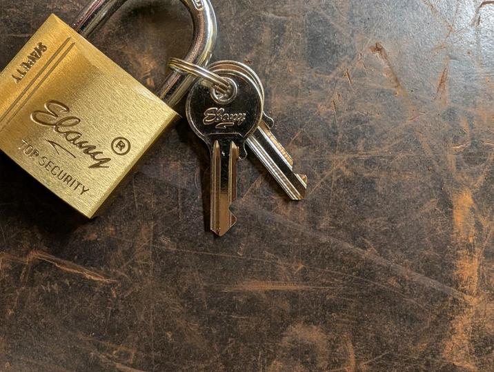 SAFETY Elany TOP SECURITY