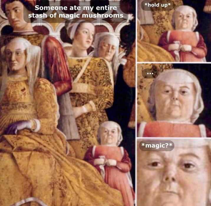 Someone ate my entire stash of magic mushrooms *hold up* *magic?*