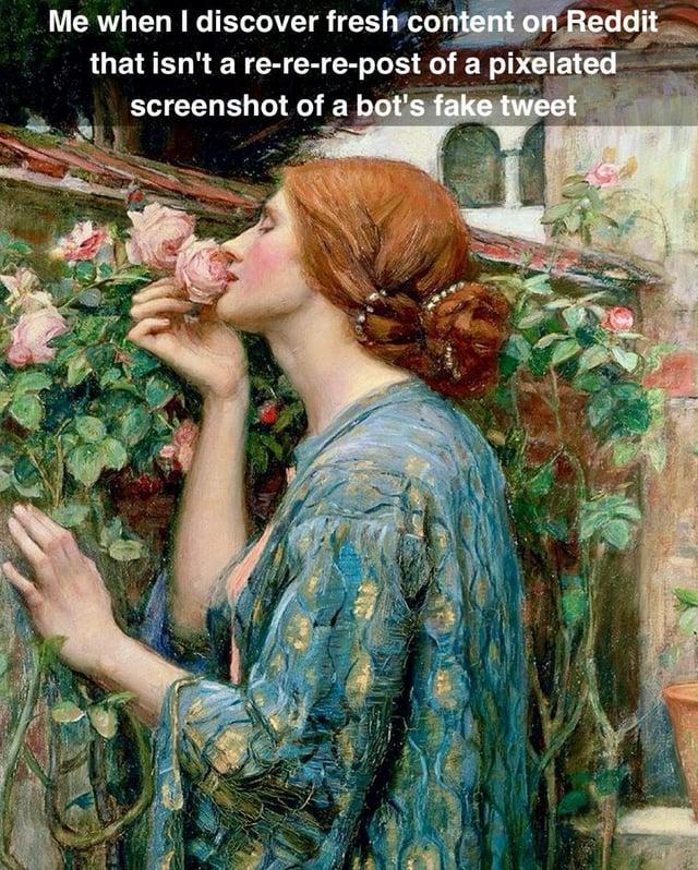 Me when I discover fresh content on Reddit that isn't a re-re-re-post of a pixelated screenshot of a bot's fake tweet