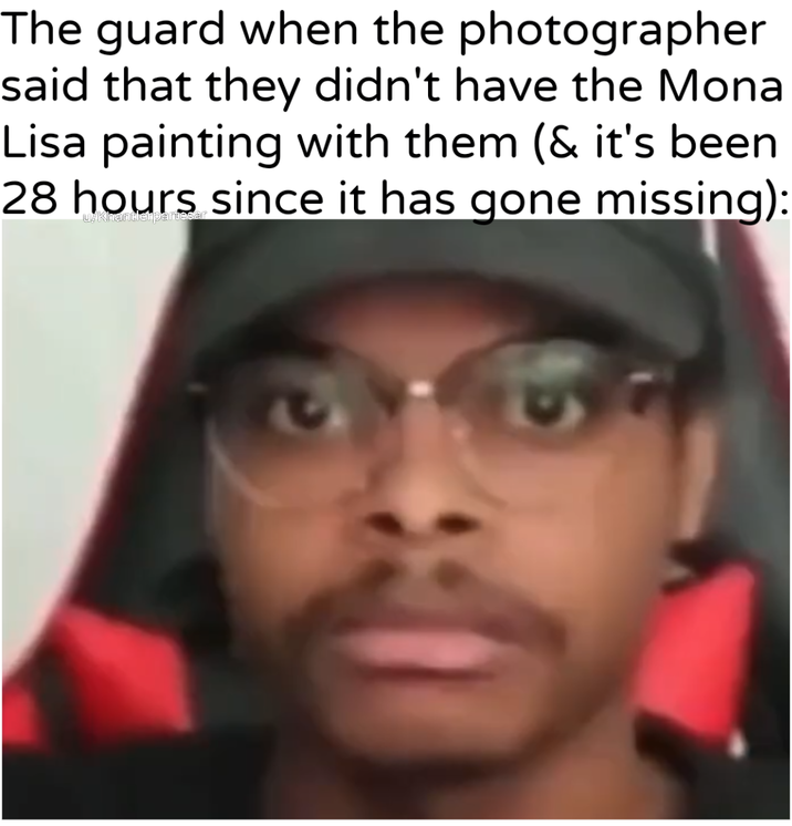 The guard when the photographer said that they didn't have the Mona Lisa painting with them (& it's been 28 hours since it has gone missing): u/Khantlerpartesar