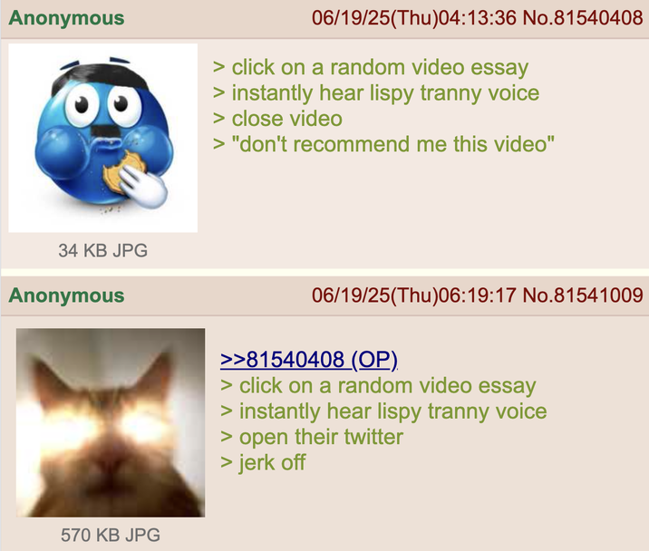 Anonymous 06/19/25(Thu)04:13:36 No.81540408 > click on a random video essay > instantly hear lispy t----- voice > close video > "don't recommend me this video" 34 KB JPG Anonymous 570 KB JPG 06/19/25(Thu)06:19:17 No.81541009 >>81540408 (OP). > click on a random video essay > instantly hear lispy t----- voice > open their twitter > j-------
