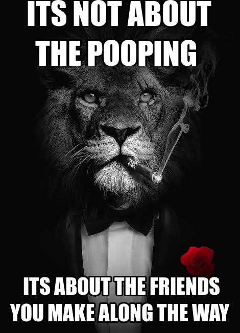 ITS NOT ABOUT THE POOPING ITS ABOUT THE FRIENDS YOU MAKE ALONG THE WAY