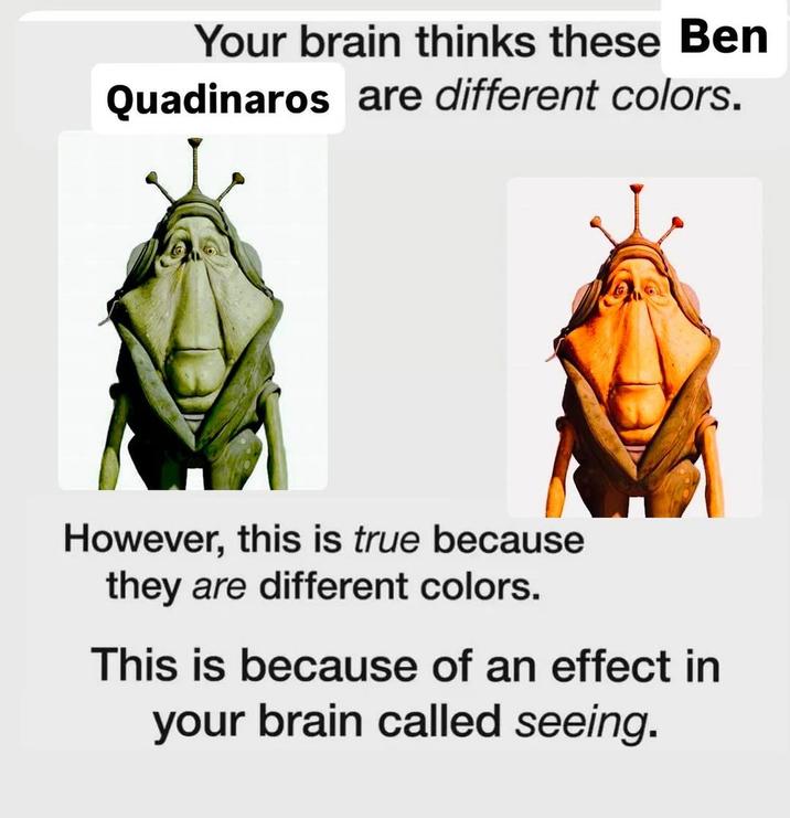 Your brain thinks these Ben Quadinaros are different colors. However, this is true because they are different colors. This is because of an effect in your brain called seeing.