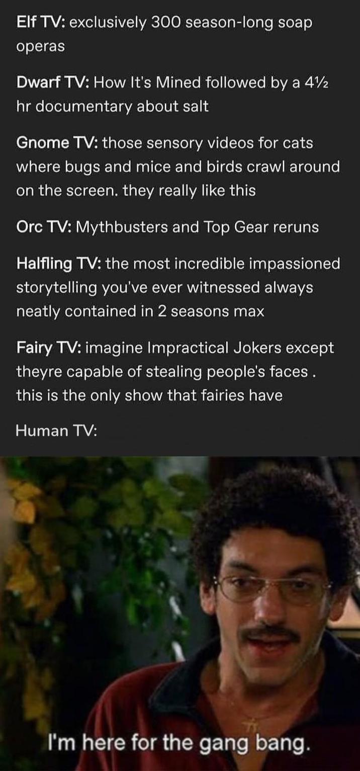 Elf TV: exclusively 300 season-long soap operas Dwarf TV: How It's Mined followed by a 4½ hr documentary about salt Gnome TV: those sensory videos for cats where bugs and mice and birds crawl around on the screen. they really like this Orc TV: Mythbusters and Top Gear reruns Halfling TV: the most incredible impassioned storytelling you've ever witnessed always neatly contained in 2 seasons max Fairy TV: imagine Impractical Jokers except theyre capable of stealing people's faces. this is the only show that fairies have Human TV: I'm here for the gang bang.