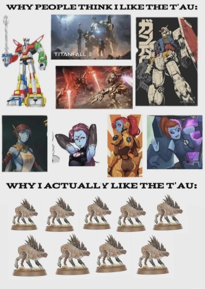 WHY PEOPLE THINK I LIKE THE T'AU: TITANFALL 2 america WHY I ACTUALLY LIKE THE T'AU:
