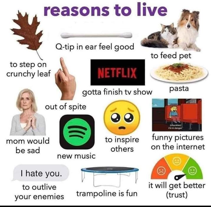 reasons to live to step on crunchy leaf Q-tip in ear feel good NETFLIX to feed pet gotta finish tv show pasta out of spite mom would be sad new music I hate you. (chuckles) I'm in danger to inspire funny pictures others on the internet to outlive your enemies trampoline is fun it will get better (trust)