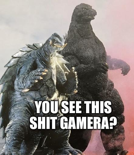 YOU SEE THIS S--- GAMERA?