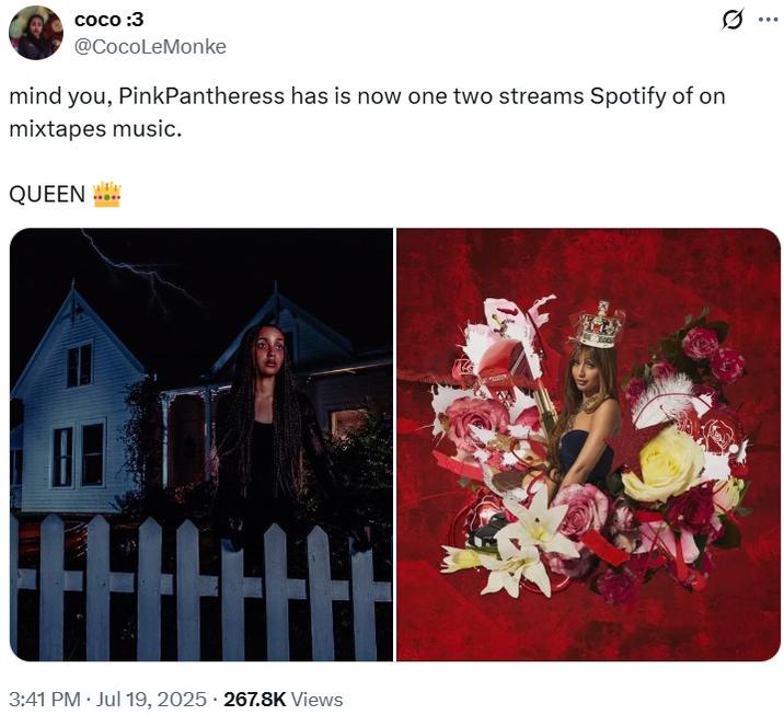 mind you, PinkPantheress has is now one two streams Spotify of on mixtapes music. A nonsensical copypasta tweet. The tweet reads, "mind you, PinkPantheress has is now one two streams Spotify of on mixtapes music."
