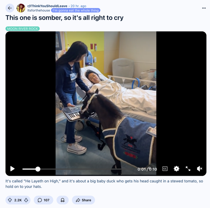 Redditor /u/Itsforthehouse reposted the video of Black Pearl playing the piano for a hospitalized child coming out of anesthesia to the subreddit /r/IThinkYouShouldLeave, gathering over 2,000 upvotes for a post that read, "This one is somber, so it's all right to cry." 
