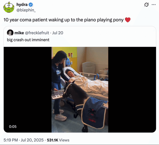 X user @blephin_ quoted a sped-up version of the Mini Therapy Horse video, writing, "10 year coma patient waking up to the piano playing pony ❤️" and gathering over 10,000 likes in a day.