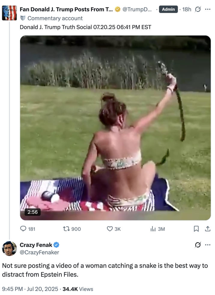 Not sure posting a video of a woman catching a snake is the best way to distract from Epstein Files. A reply reacting to the "Truth Social":https://knowyourmeme.com/memes/sites/truth-social post shared by "U.S.":https://knowyourmeme.com/memes/cultures/united-states-of-america President "Donald Trump":https://knowyourmeme.com/memes/people/donald-trump in July 2025, which was a "reposted":https://knowyourmeme.com/memes/repost "Top 25 Respect Moments" "viral video":https://knowyourmeme.com/memes/viral-videos montage.