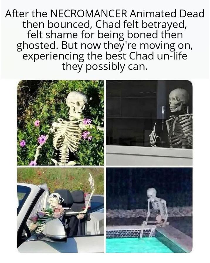 After the NECROMANCER Animated Dead then bounced, Chad felt betrayed, felt shame for being boned then ghosted. But now they're moving on, experiencing the best Chad un-life they possibly can.