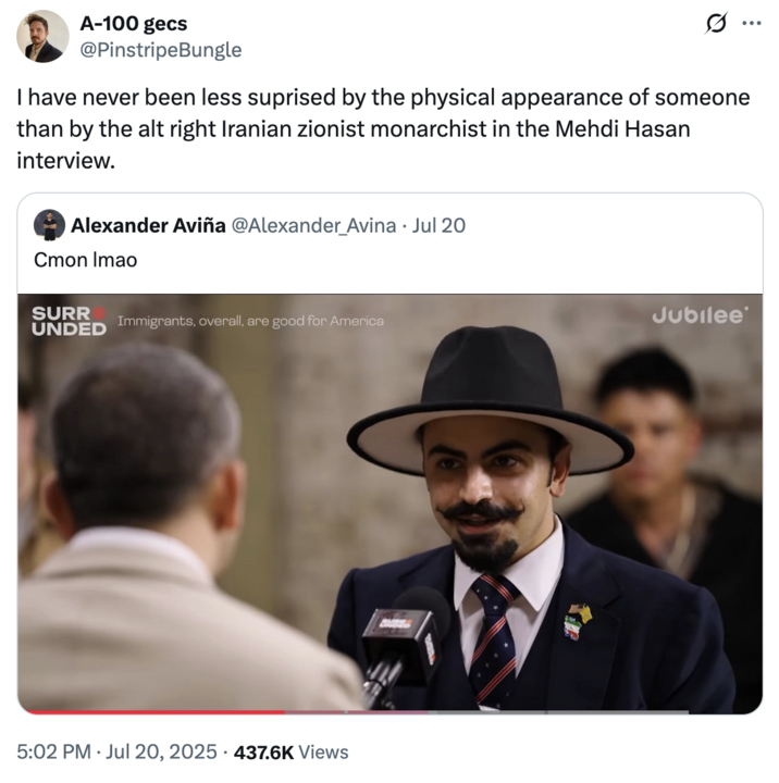 July 20th, 2025 tweet by @PinstripeBungle X user @PinstripeBungle quoted a post by @Alexander_Avina, writing, "I have never been less suprised by the physical appearance of someone than by the alt right Iranian zionist monarchist in the Mehdi Hasan interview."