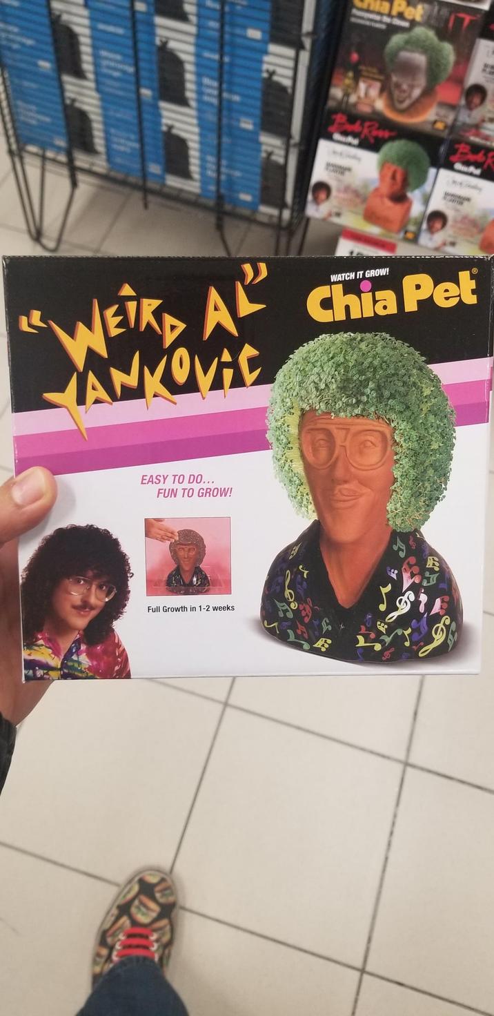 Pet WATCH IT GROW! WE AL Chia Pet ANKOVIC EASY TO DO... FUN TO GROW! Full Growth in 1-2 weeks