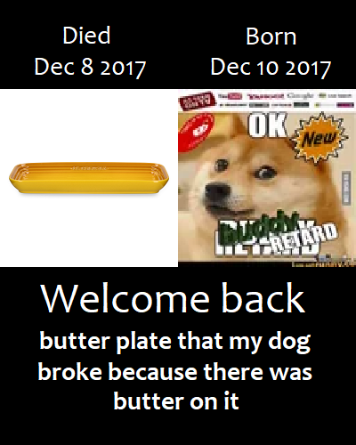 Died Born Dec 8 2017 Dec 10 2017 OK New Buddy CRETARD Welcome back butter plate that my dog broke because there was butter on it 目