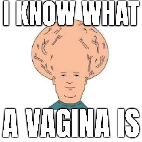 I KNOW WHAT A VAGINA IS