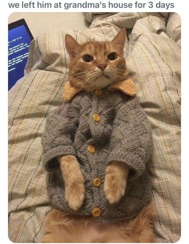 we left him at grandma's house for 3 days