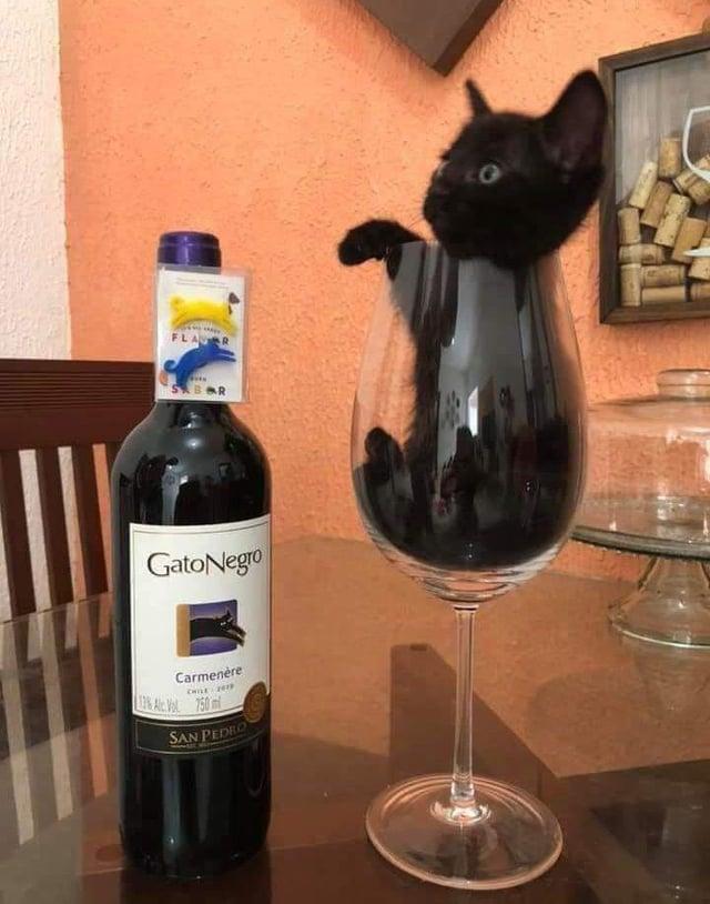 FLAR SBOR GatoNegro Carmenère CHILE 2019 13% Alc Vol 750 ml SAN PEDRO O