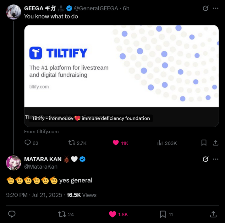 "Tiltify campaign":https://tiltify.com/@ironmouse/ironmouse