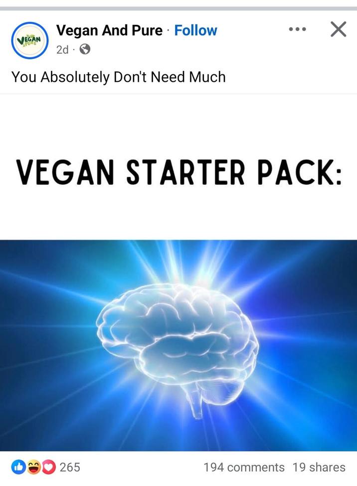 Vegan And Pure Follow • ☑ VEGAN &PURE 2d . You Absolutely Don't Need Much VEGAN STARTER PACK: 22 265 194 comments 19 shares