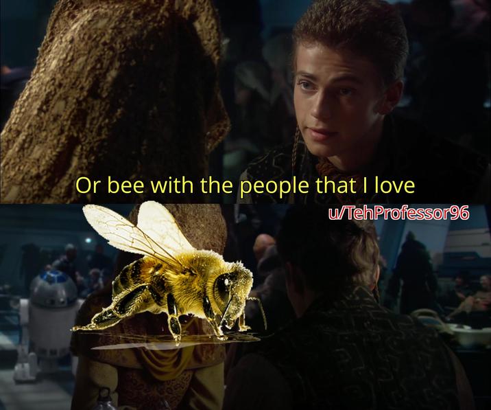 Or bee with the people that I love u/TehProfessor96 V