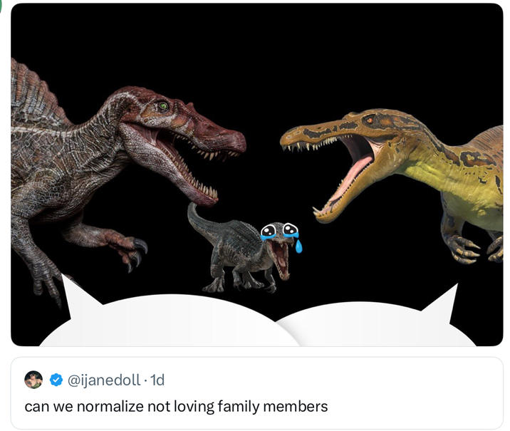 @ijanedoll 1d can we normalize not loving family members