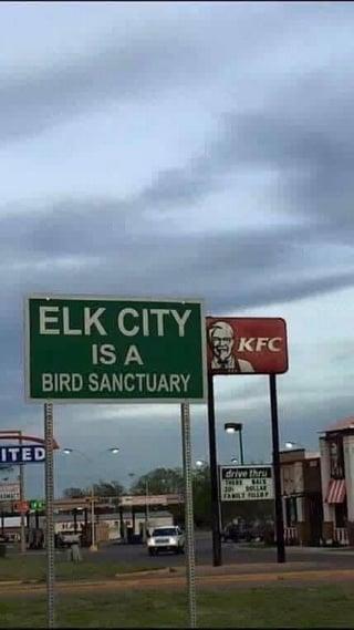 ITED ELK CITY IS A BIRD SANCTUARY KFC drive thru 20 MOLLAR