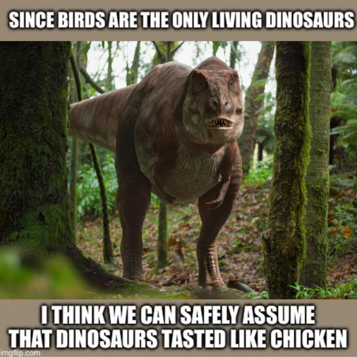 SINCE BIRDS ARE THE ONLY LIVING DINOSAURS I THINK WE CAN SAFELY ASSUME THAT DINOSAURS TASTED LIKE CHICKEN imgflip.com