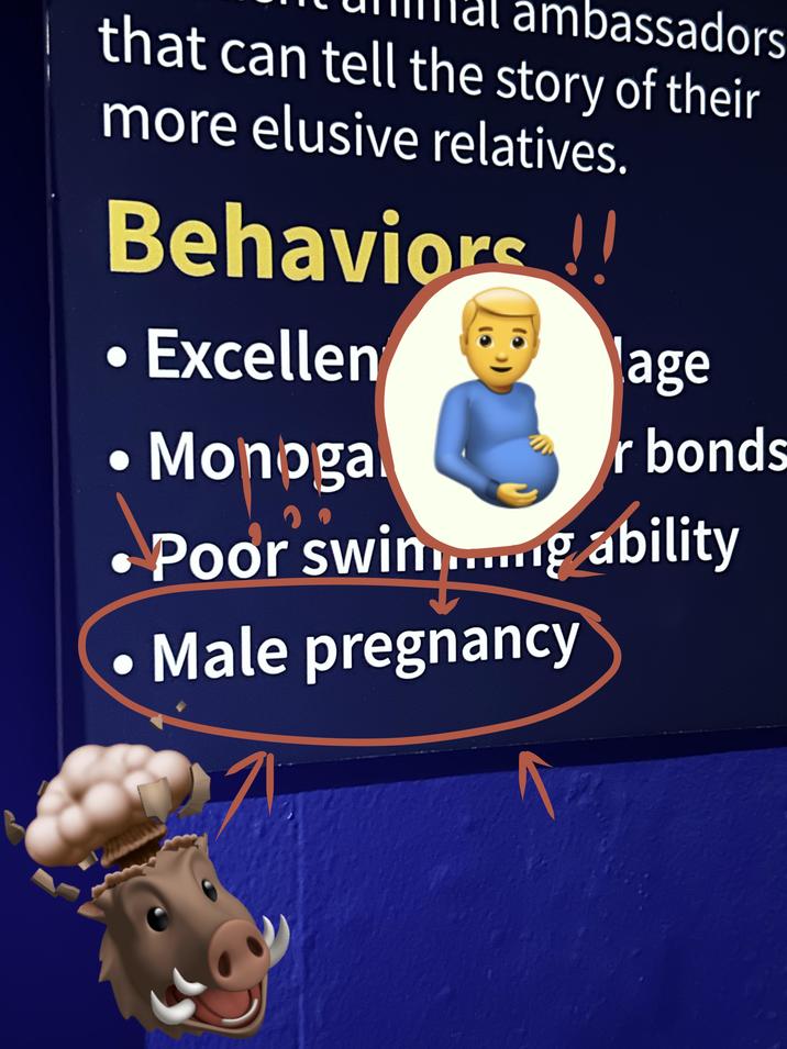 ambassadors that can tell the story of their more elusive relatives. Behaviors!! Excellen O Monoga age r bonds Poor swing ability ● Male pregnancy