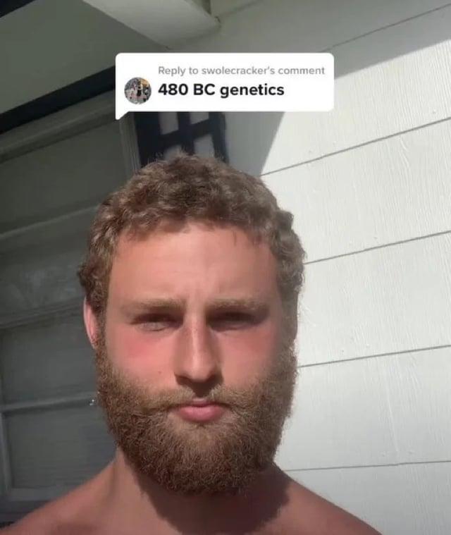 Reply to swolecracker's comment 480 BC genetics