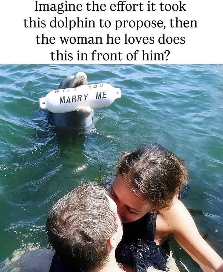 Imagine the effort it took this dolphin to propose, then the woman he loves does this in front of him? WILL YOU MARRY ME