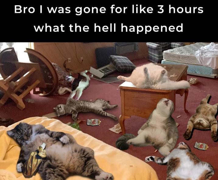 Bro I was gone for like 3 hours what the hell happened