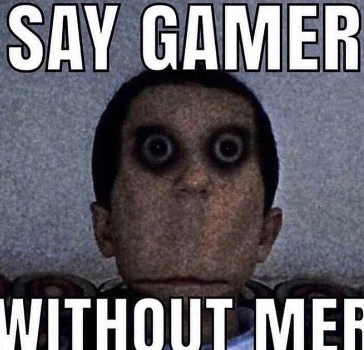 SAY GAMER WITHOUT MER
