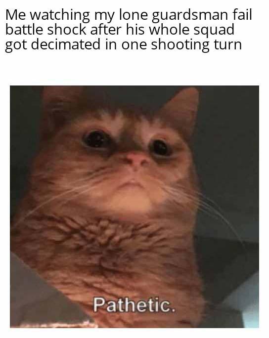 Me watching my lone guardsman fail battle shock after his whole squad got decimated in one shooting turn Pathetic.