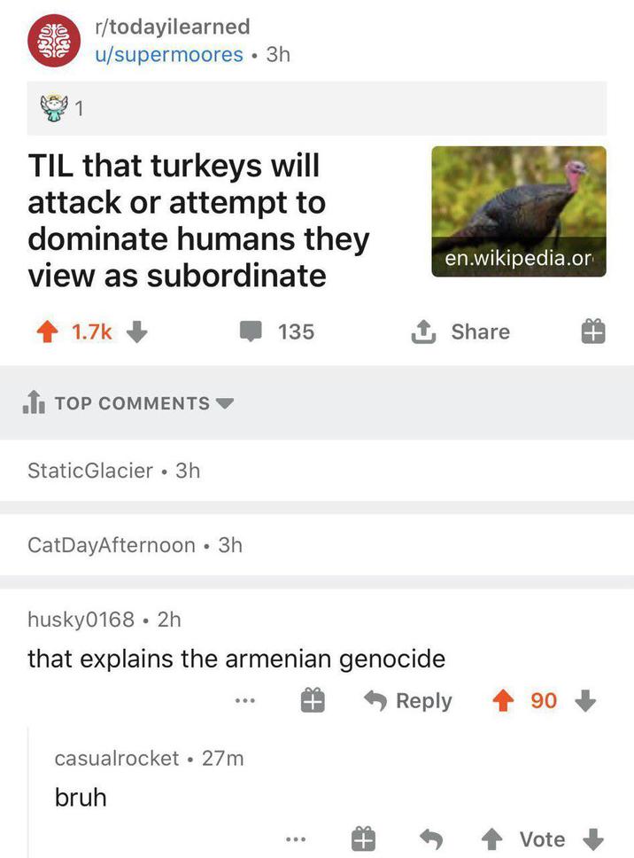 ICH 1 r/todayilearned u/supermoores • 3h TIL that turkeys will attack or attempt to dominate humans they view as subordinate 1.7k TOP COMMENTS Static Glacier • 3h en.wikipedia.or 135 Share CatDayAfternoon ⚫ 3h husky0168 2h that explains the armenian genocide casualrocket • 27m bruh +3 Reply 90 Vote