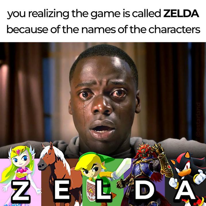 you realizing the game is called ZELDA because of the names of the characters A meme reading, "you realizing the game is called ZELDA because of the names of the characters." It is a "Chris Crying":https://knowyourmeme.com/memes/chris-crying meme.