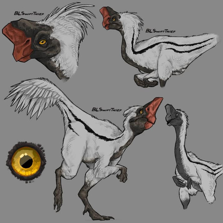 BLSWIFT THIEF BLSWIFT THIEF BLSWIFT THIEF