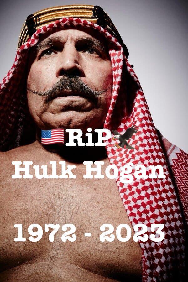 Rip Hulk Hogan 1972 2023