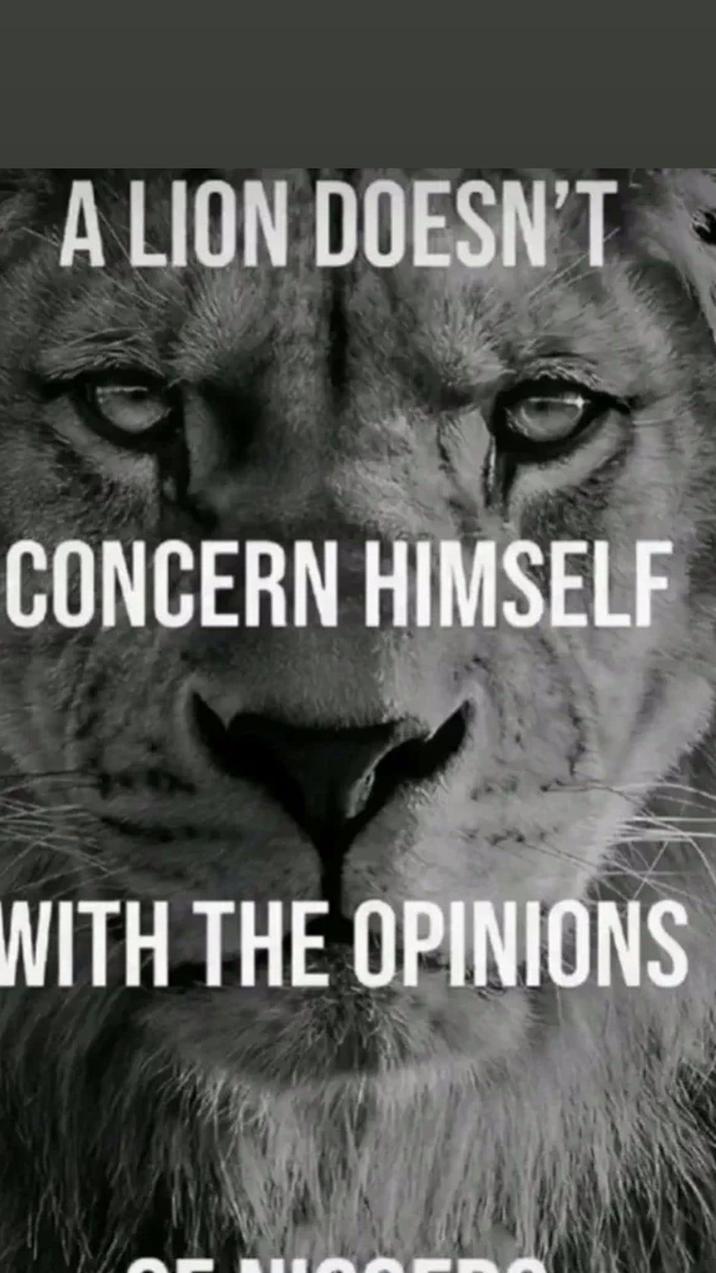 A LION DOESN'T CONCERN HIMSELF WITH THE OPINIONS