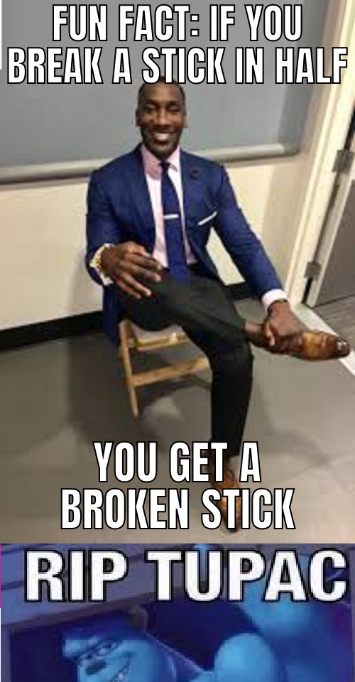 FUN FACT: IF YOU BREAK A STICK IN HALF YOU GET A BROKEN STICK RIP TUPAC